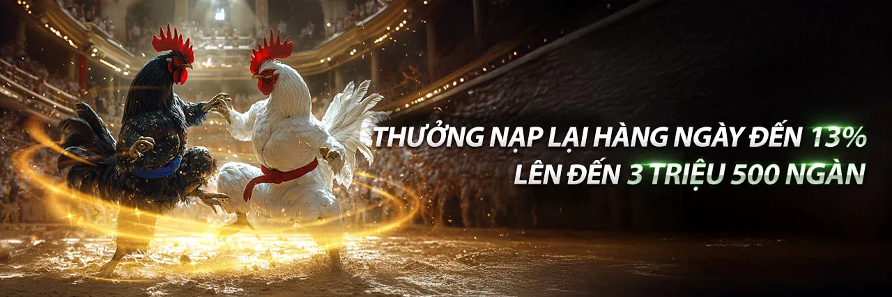 Đá gà trực tiếp Thomo c2 c3 tại Sodo66
